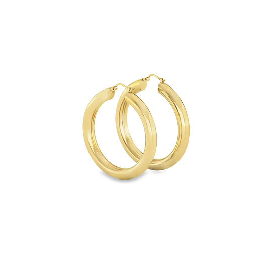 Round plain Earring